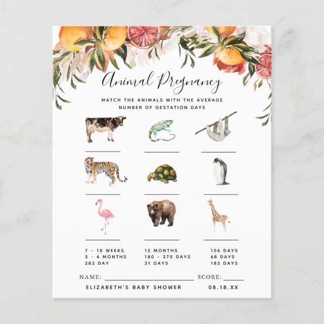 Papier Grossesse animale | Jeu Baby shower (Devant)