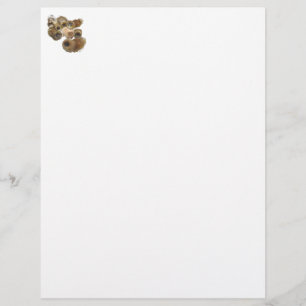 Papier Groupe Pekingese