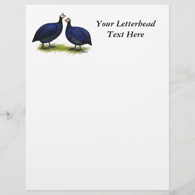 Papier Guineas Royal Purple Pair (Devant)