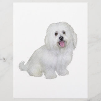 Papier Havanais (blanc)