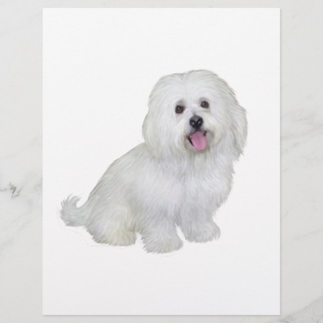 Papier Havanais (blanc) (Devant)