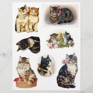 Papier Helena Maguire Chat Vintage, Kitten Art