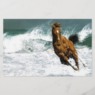 Papier Hippocampe