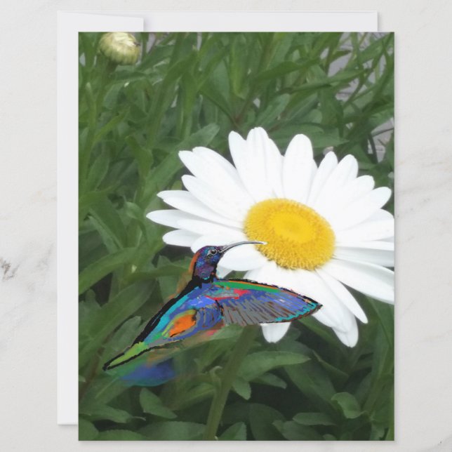 Papier Hummingbird themed Scrapbook paper  (Devant)