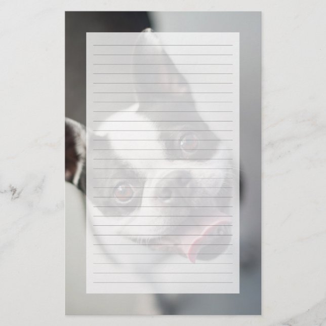 Papier Images Getty | French Bulldog (Devant)