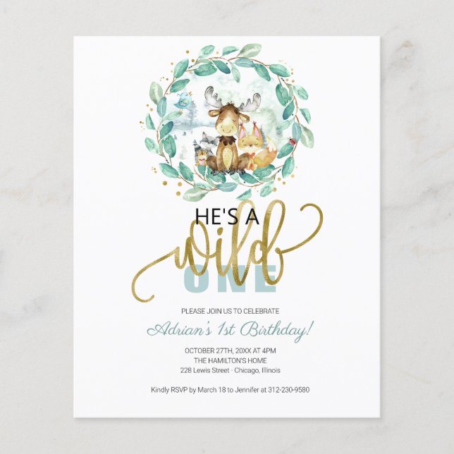 Papier Invitation pour le premier anniversaire de Budget  (Devant)