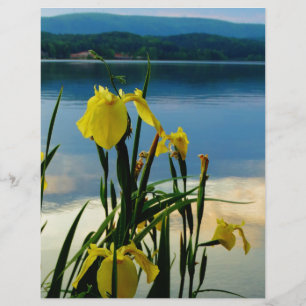 Papier Iris jaune à Lake Shore