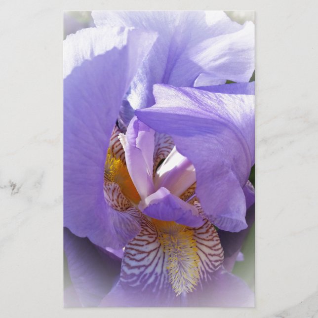 Papier iris pourpre (Devant)