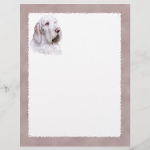 Papier Italien Spinone Italiano
