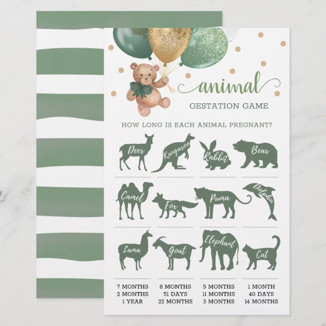 Papier Jeu de gestation animale Ours en peluche vert saug (Devant / Derrière)