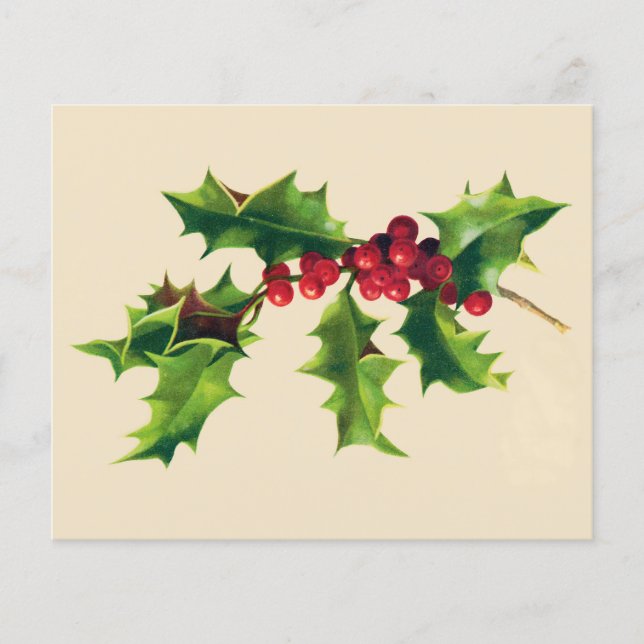 Papier Jolie branche Holly Vintage (Devant)
