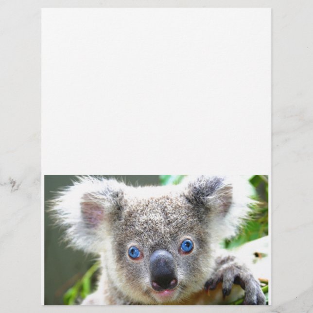 Papier Koala Bears (Devant)
