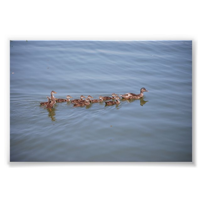 Papier Kodak photo 6x4 (Devant)