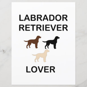 Papier labrador extracteur amoureux toutes les couleurs s