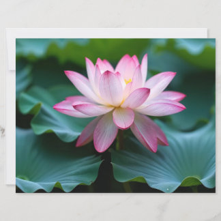 Papier Lámina de papel ,Serenidad Floral