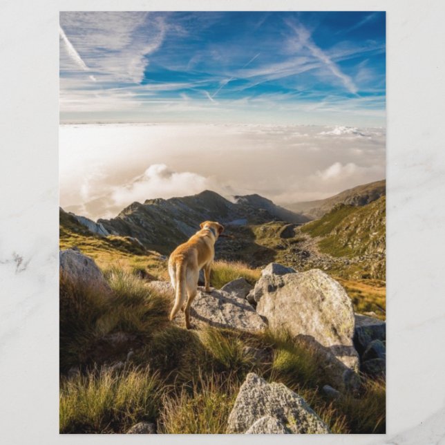 Papier Le voyage (Devant)