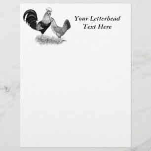 Papier Leghorns Production de poulets Brown