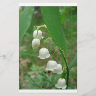 Papier Lily de la vallée