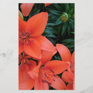 Papier Lily orange