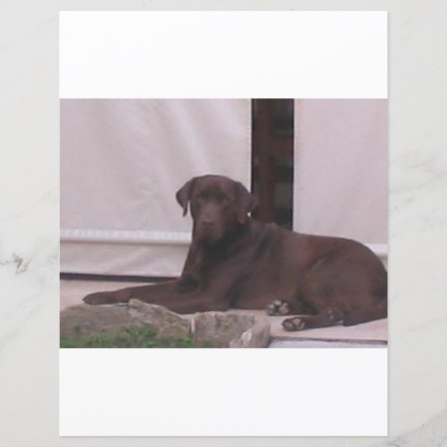 Papier Lire le laboratoire de chocolat LR pose (Devant)