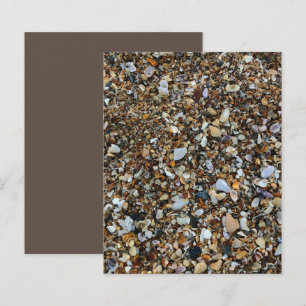 Papier Livre blanc Brown Coquina Sea Shell Beach