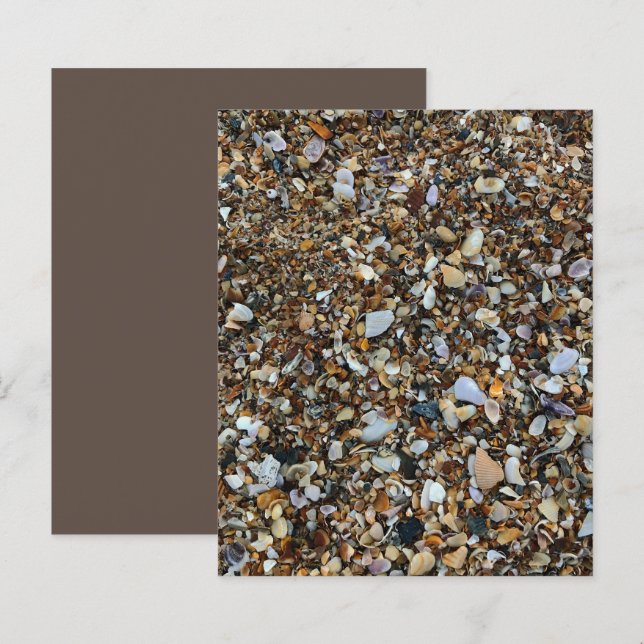 Papier Livre blanc Brown Coquina Sea Shell Beach (Devant / Derrière)