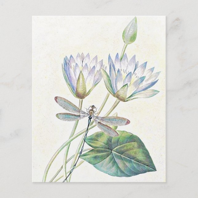 Papier Lotus et libellules (Devant)