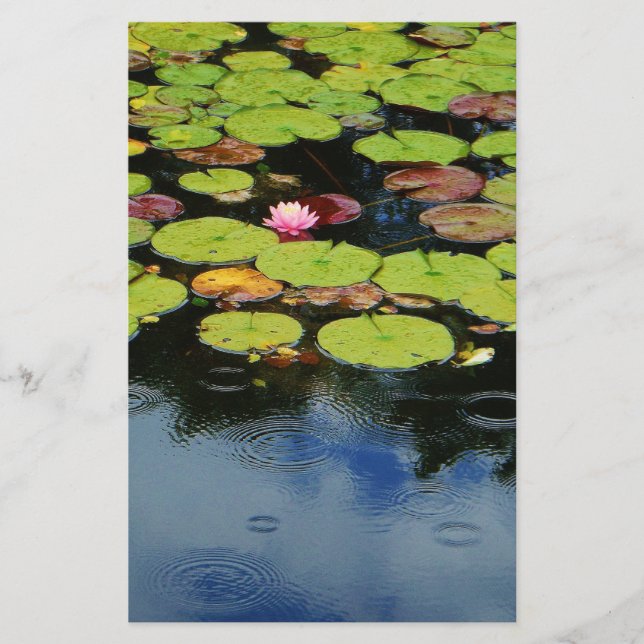 Papier Lotus rose en pluie (Devant)