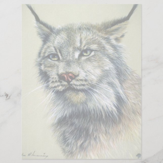 Papier Lynx (étude principale) (Devant)
