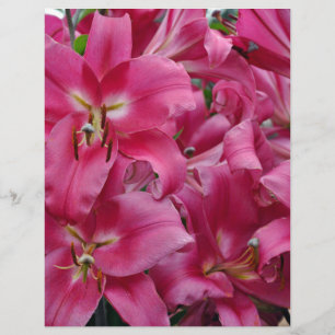 Papier Lys stargazers roses