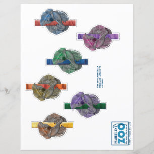 Papier Mabell's Zoo Koala Bear Cutout