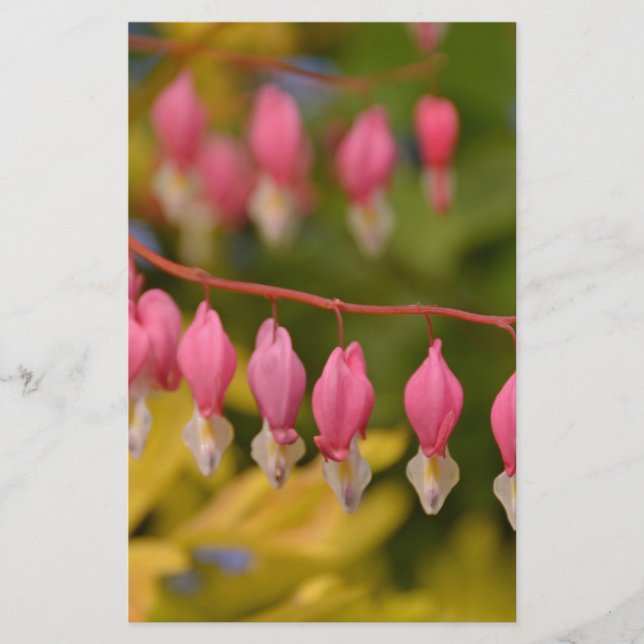 Papier Macro Coeurs saignants (Devant)