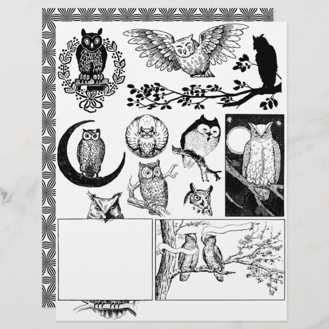 Papier Magnifique Black & White Line Dessins d'art de Cho (Devant / Derrière)