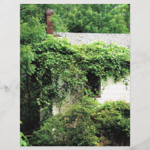 Papier Maison Blanche abandonnée dans les bois