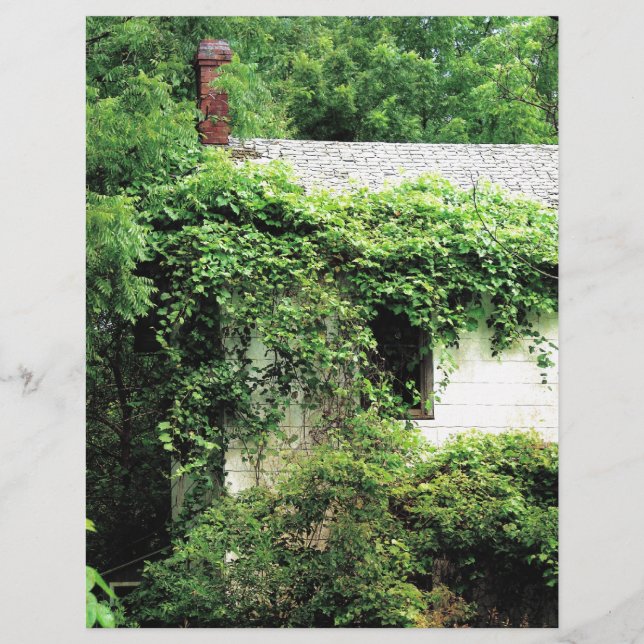 Papier Maison Blanche abandonnée dans les bois (Devant)