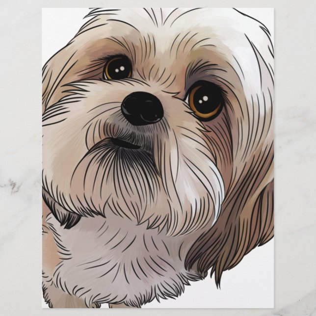 Papier Malshi Mal-shi (Devant)