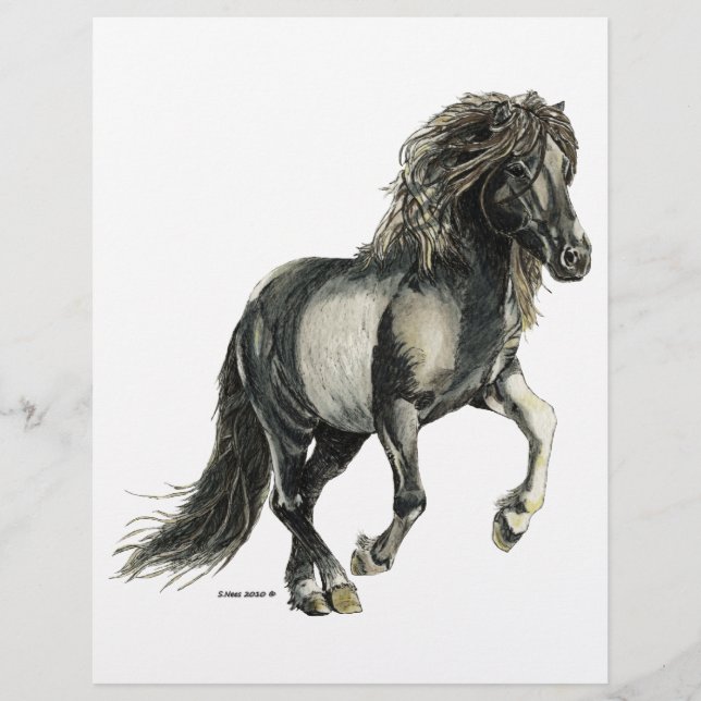 Papier Mare islandaise Brana (Devant)