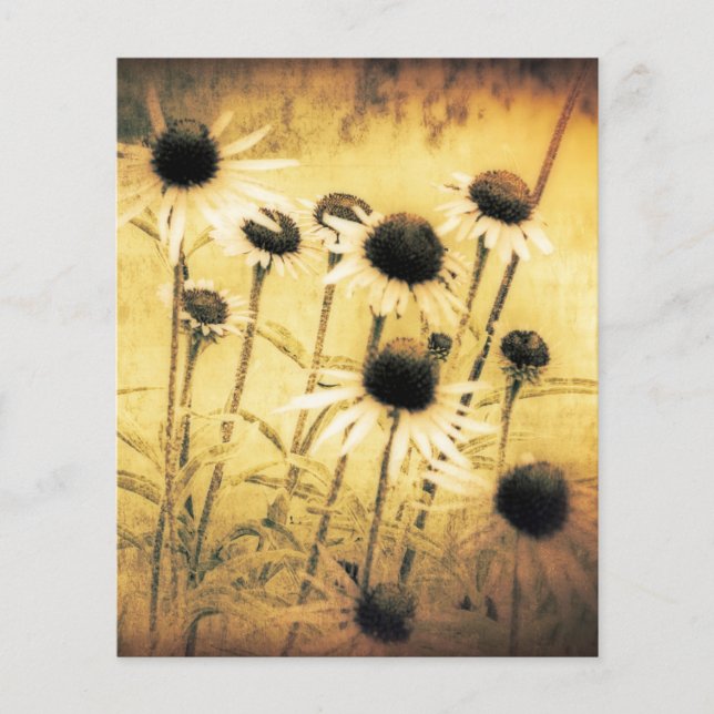 Papier Marguerites vintage (Devant)