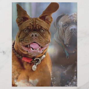 Papier Mastiff Plus
