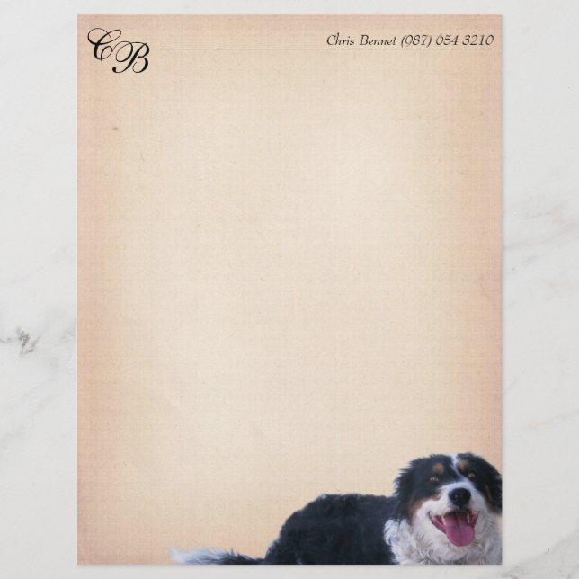 Papier Mélange Collie Bordure (Devant)