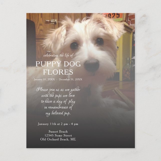 Papier mémorial photo côté droit (Devant)