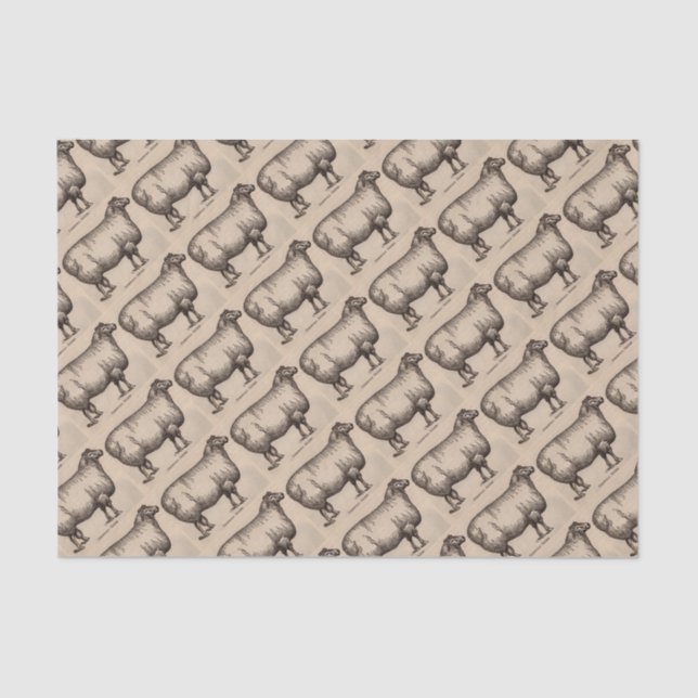 Papier Mousseline 19e century print cotswold sheep (Recto)