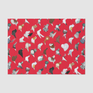 Papier Mousseline 36 races de pigeon