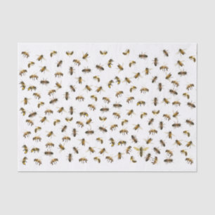 Papier Mousseline Abeilles ouvrières et enveloppes et découpage de l