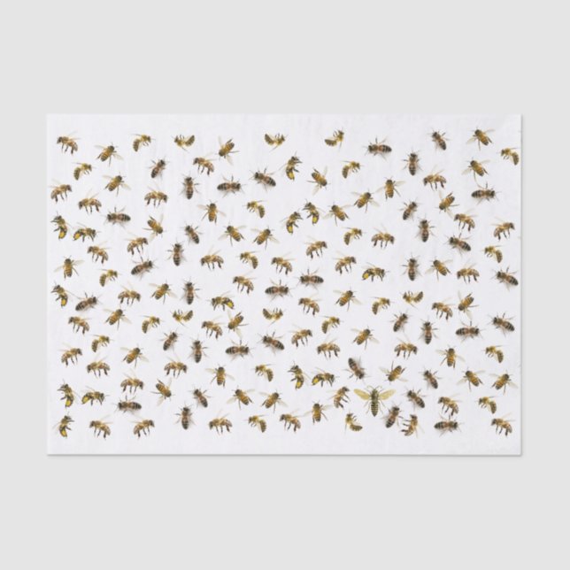 Papier Mousseline Abeilles ouvrières et enveloppes et découpage de l (Recto)