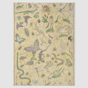 Papier Mousseline Affiche de style Chinoiserie sur les insectes et l