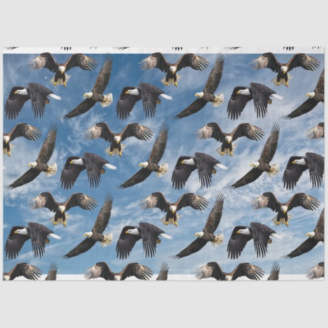 Papier Mousseline Aigle à tête blanche (Recto)