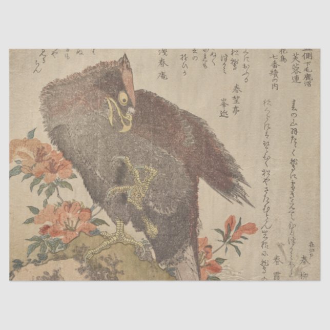 Papier Mousseline Aigle avec une barbe louée Azalea Bush par Shunman (Recto)