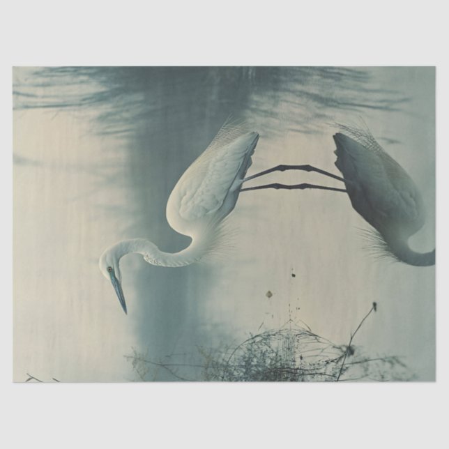 Papier Mousseline Aiguille dans la page de découpage de fond (Recto)