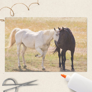 Papier Mousseline Aimer les Chevaux